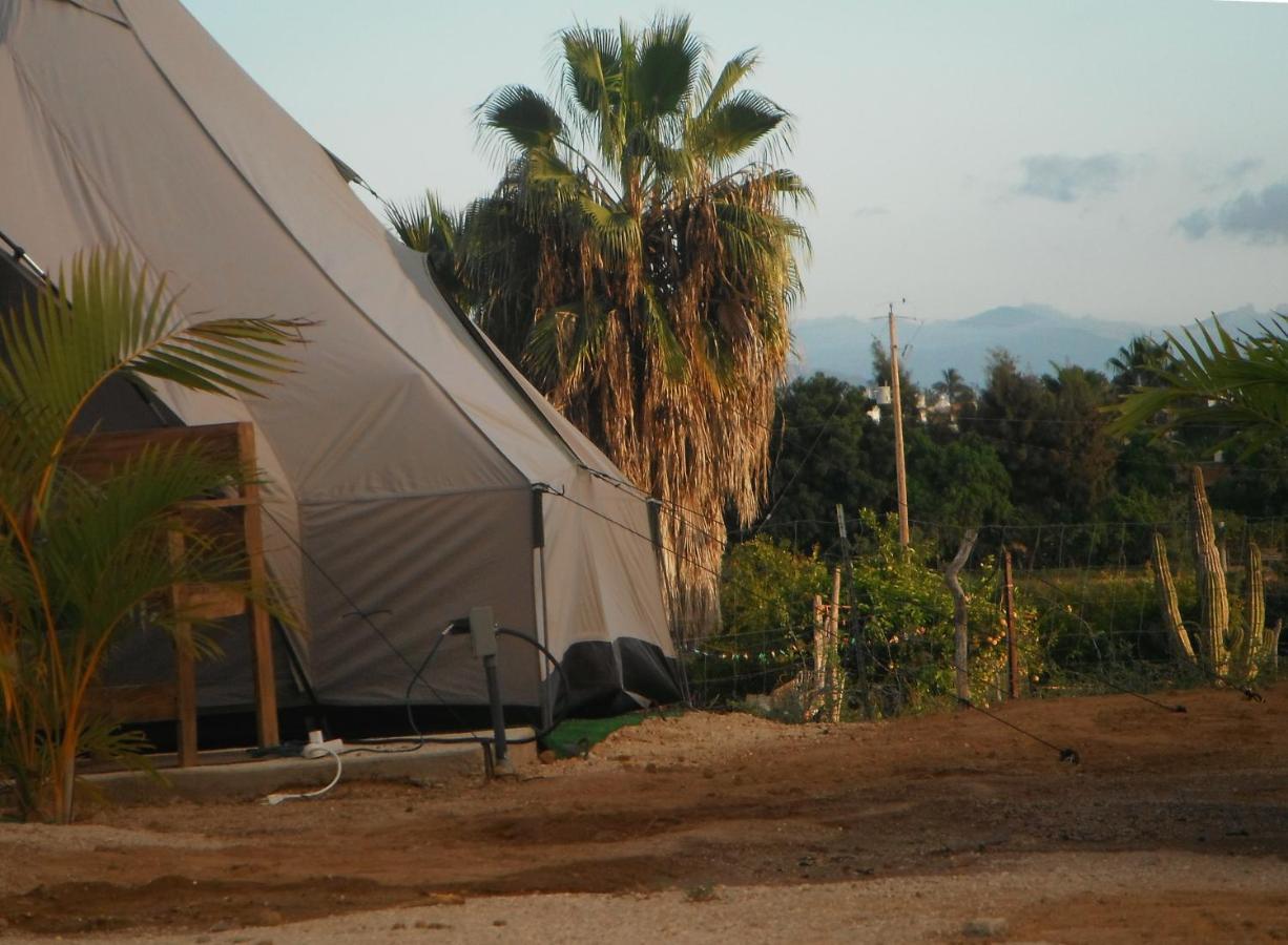 Camp - Santos Camp With All The Comforts Todos Santos Exterior foto